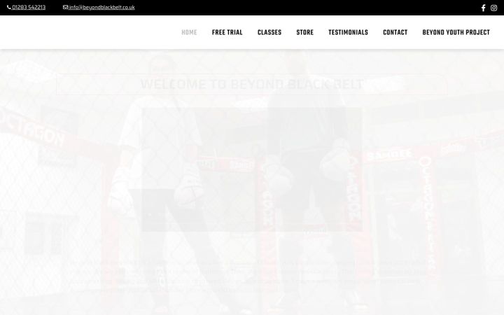 Screenshot of beyondblackbelt.co.uk