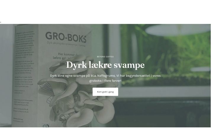 Snímek obrazovky beyondcoffee.dk