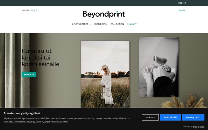 Screenshot ta' beyondprint.fi