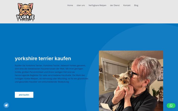 Screenshot of bezauberndeyorkiewelpen.de