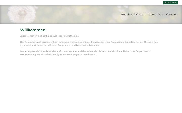 Skærmbillede af bezel.ch