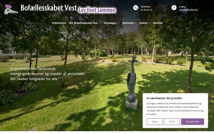Screenshot of bf-vest.dk