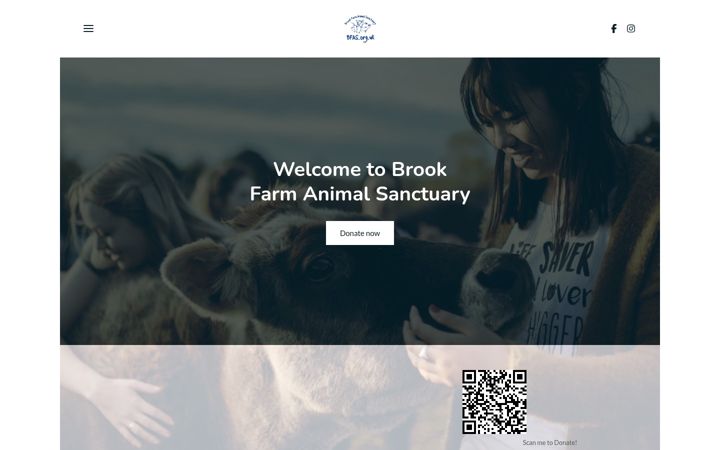 Screenshot of bfas.org.uk