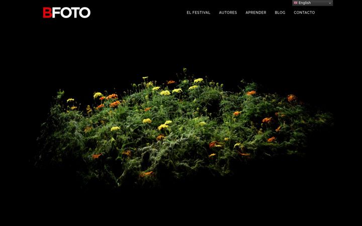Screenshot ta' bfoto.org