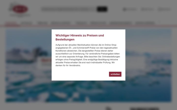 Screenshot of bfs-filter.de