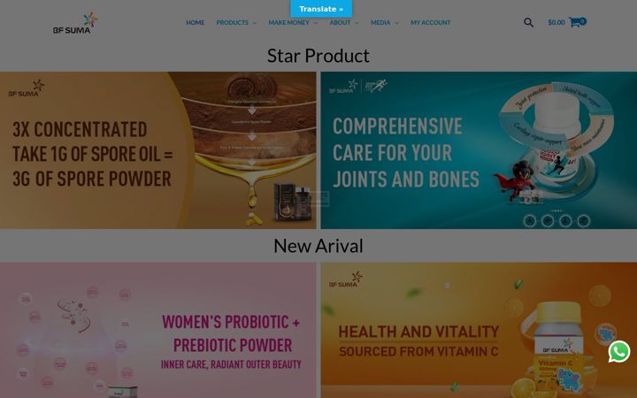 Screenshot of bfsumastore.com