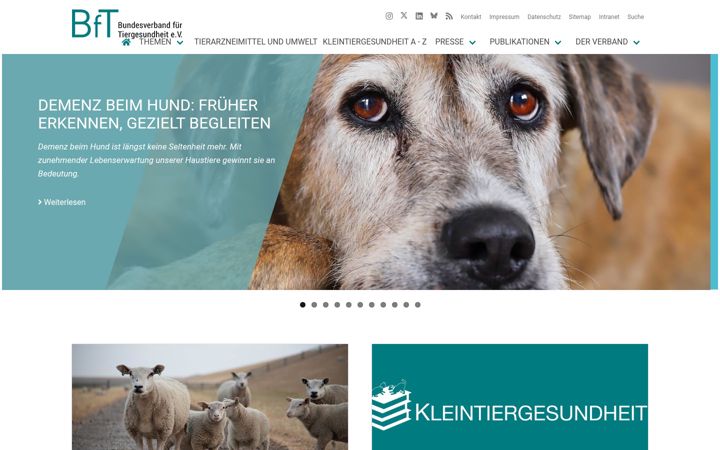 Screenshot of bft-online.de