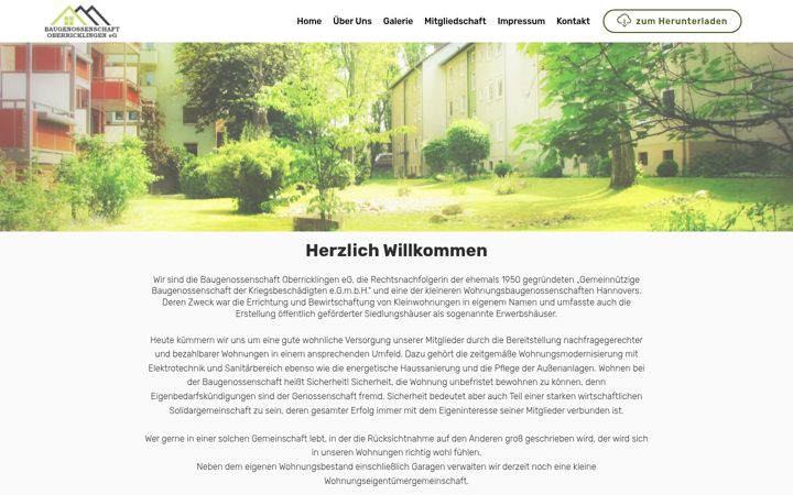 Captura de pantalla de bg-oberricklingen.de