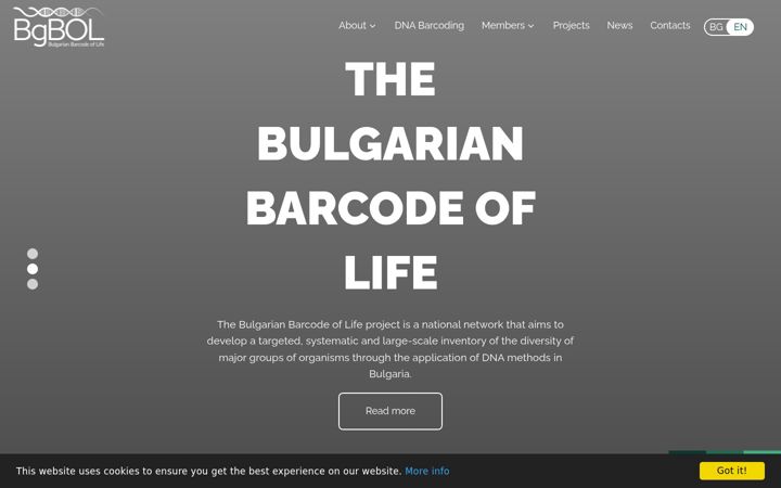 Screenshot of bgbol.org