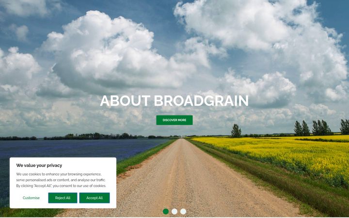 Screenshot of bginternational.com