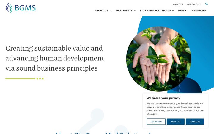 Screenshot of bgmsglobal.com