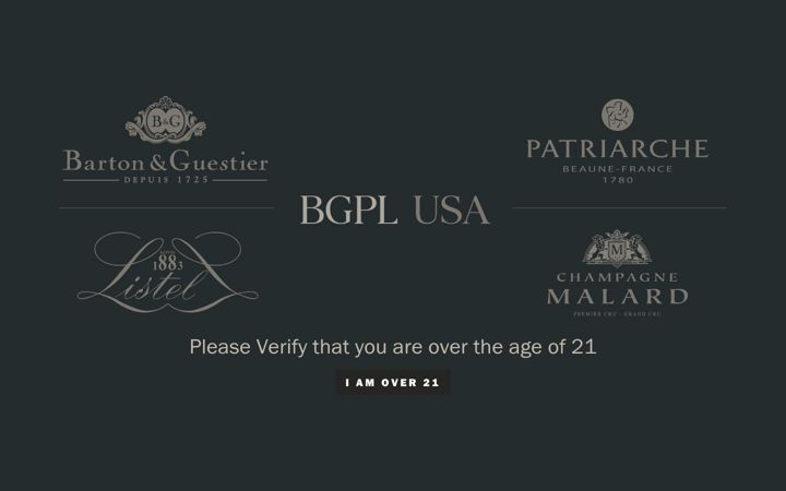 Screenshot of bgpl-usa.com