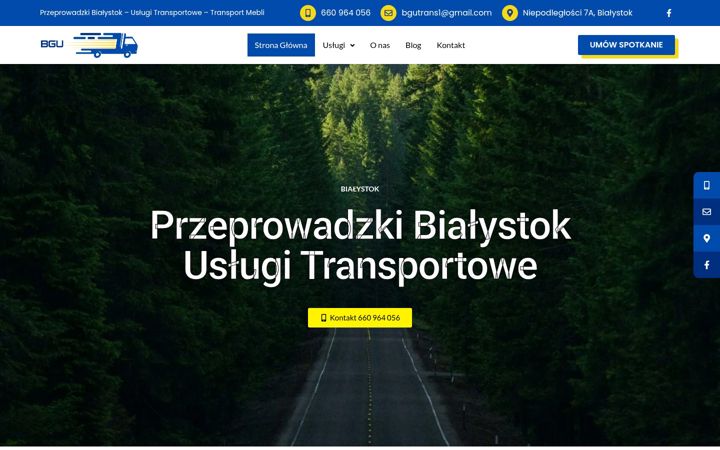 Screenshot of bgu-transport.pl