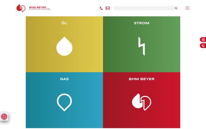 Screenshot of bhm-beyer.de