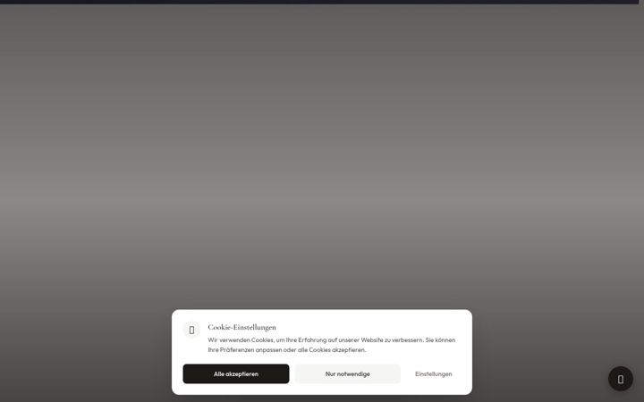 Screenshot of bholding.ch