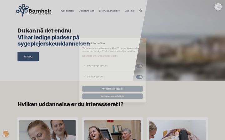 Screenshot of bhsund.dk
