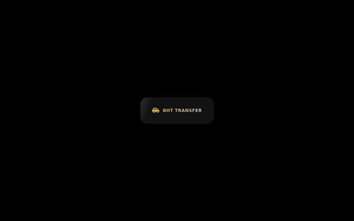 Screenshot of bht-transfer.ch
