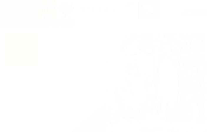 Screenshot von bhudev.co.uk