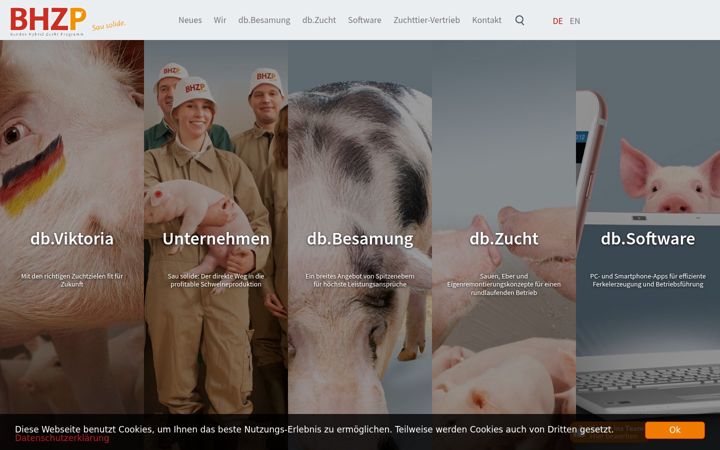 Screenshot of bhzp.de
