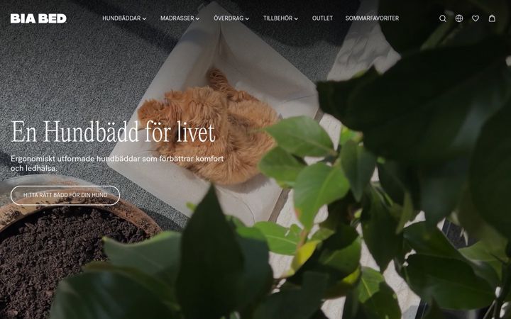 Screenshot of biabed.com