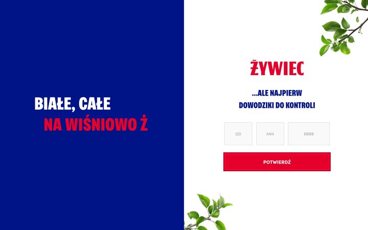 Screenshot of bialecalenawisniowo.pl