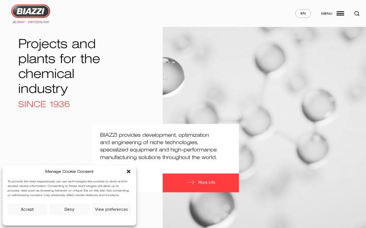 Screenshot of biazzi.com