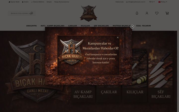 Screenshot of bicakhanem.com.tr