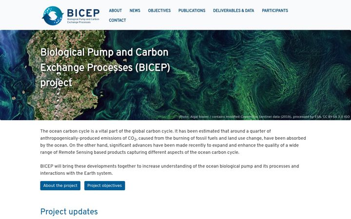 Screenshot of bicep-project.org