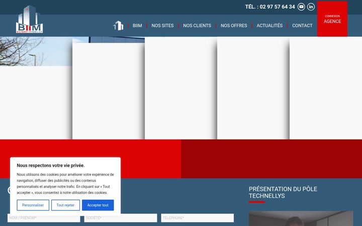 Screenshot von bicheray-immobilier.fr