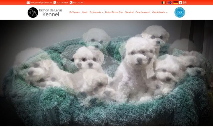 Screenshot of bichon-frise.ro