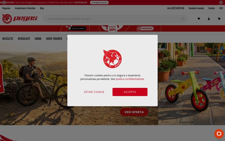 Screenshot of bicicletapegas.ro