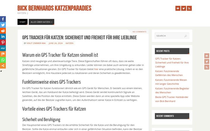 Screenshot of bickbernhard.de