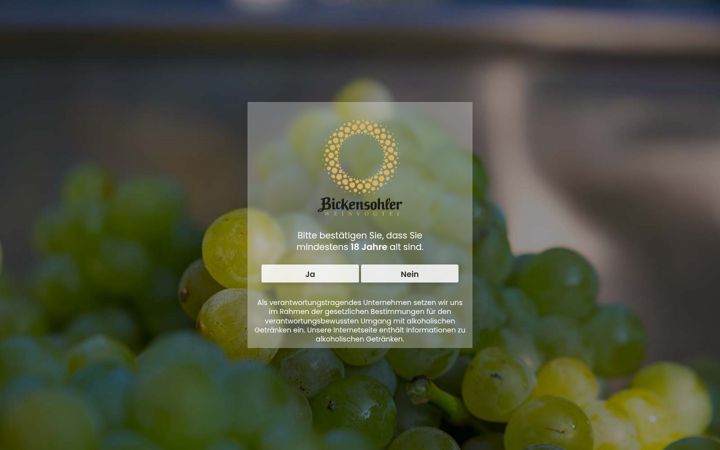 Screenshot of bickensohler.de