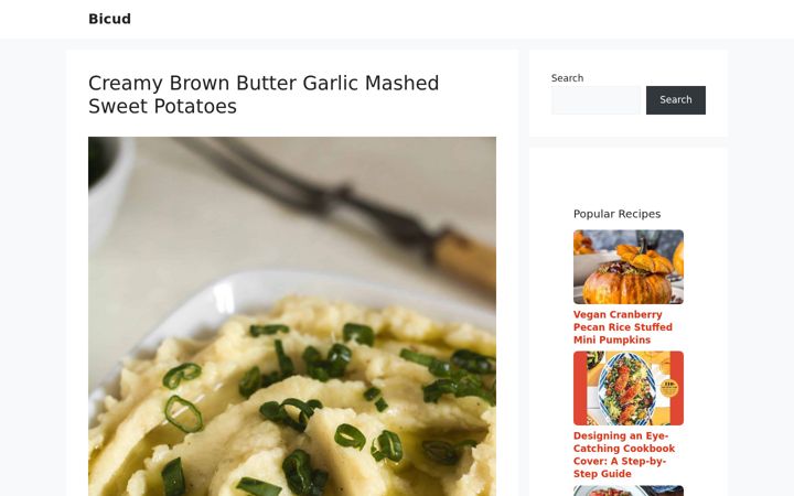 Screenshot of bicud.com