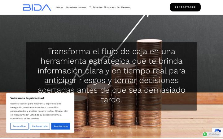 Screenshot of bidaglobal.com