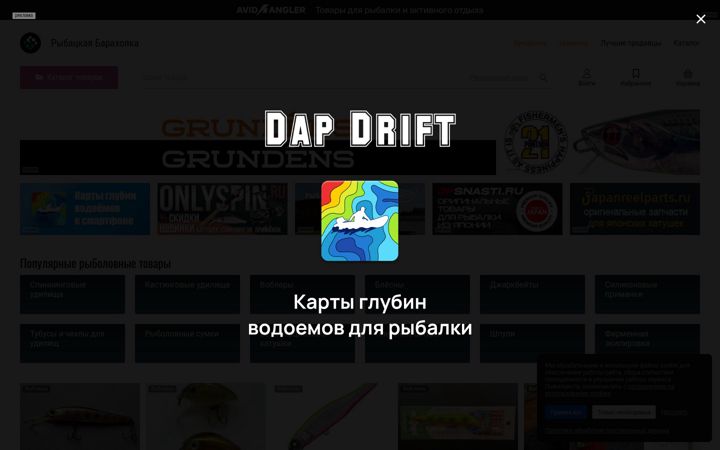 Screenshot of bidbaits.ru