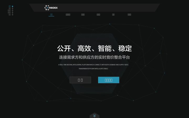 Screenshot of bidex.cn