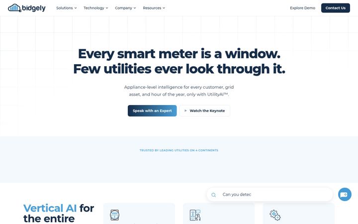 Screenshot of bidgely.com