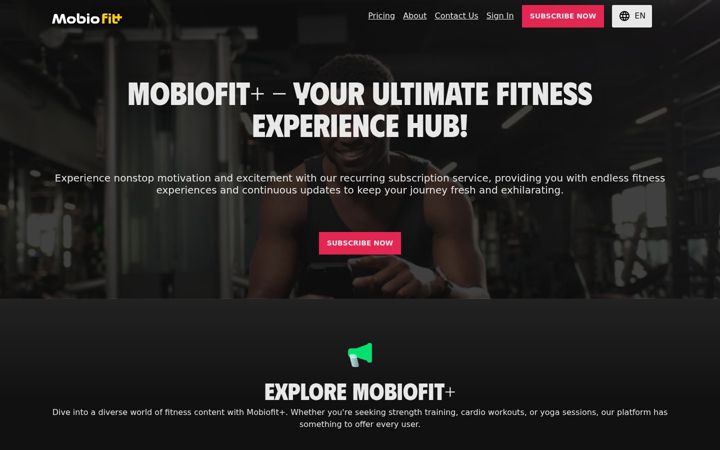 Screenshot of bidiotv.com