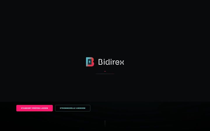 bidirex.com