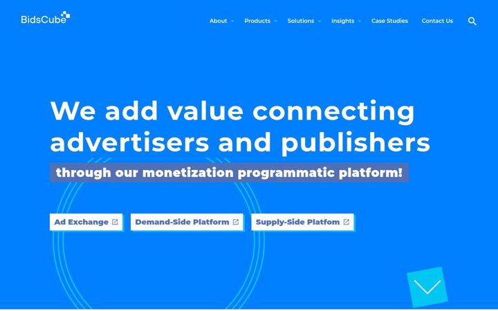 Screenshot of bidscube.com