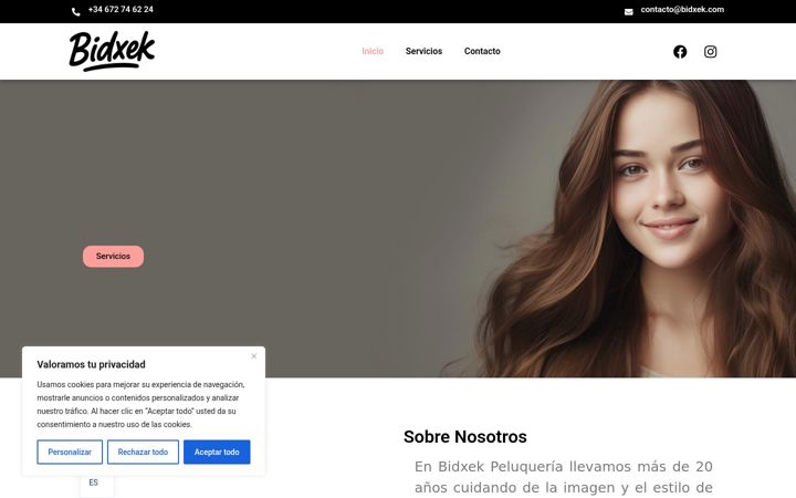 Screenshot of bidxek.com