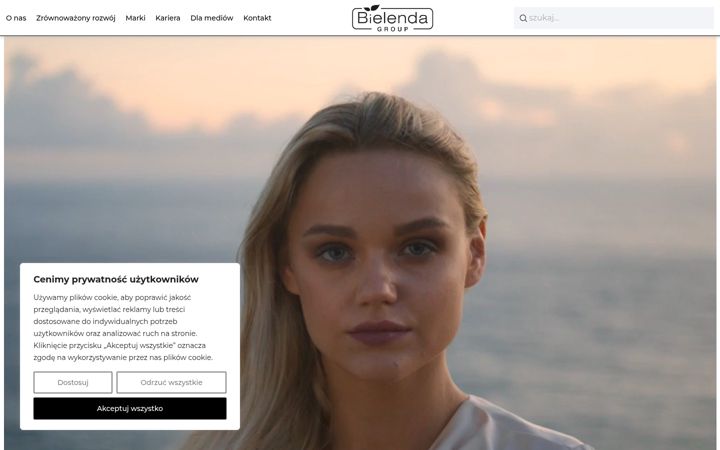 Screenshot of bielendagroup.com