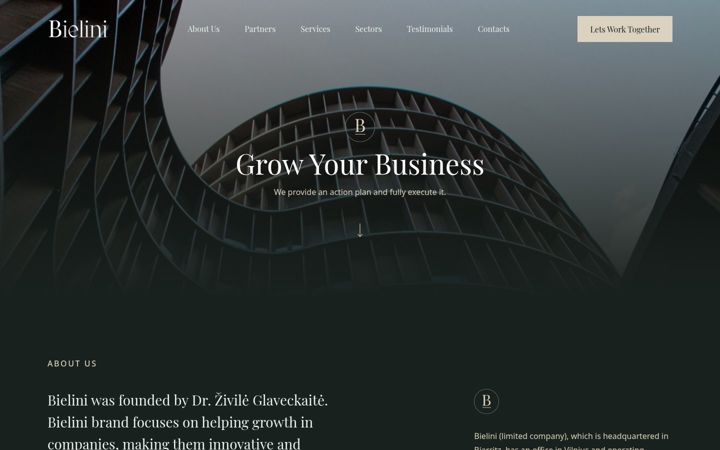 Screenshot of bielini.com