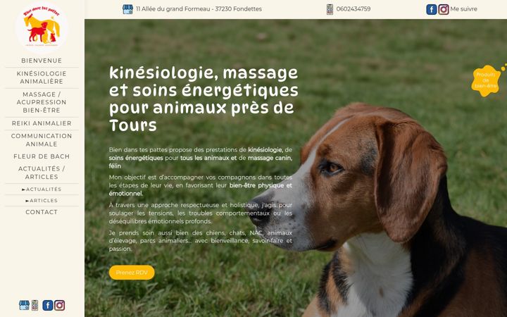 Screenshot of bien-dans-tes-pattes.fr
