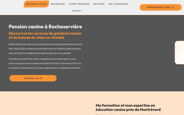 Screenshot of biendansmatruffe.fr