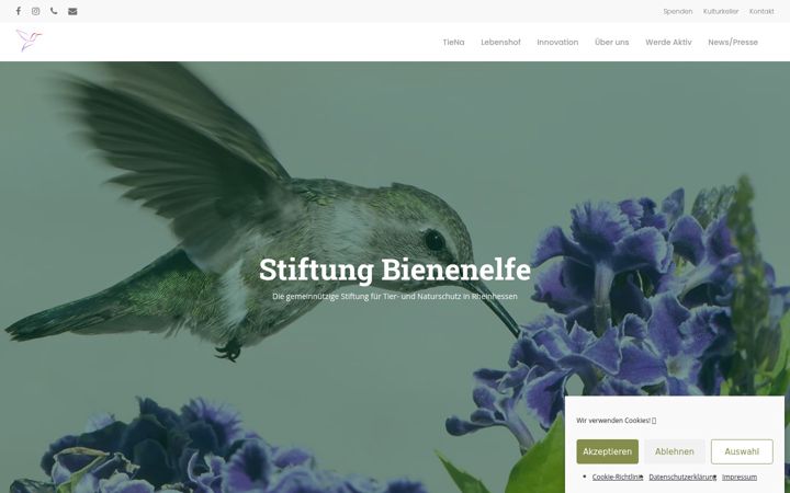 Screenshot of bienenelfe.org