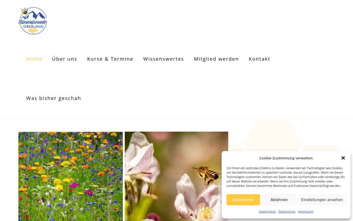 Screenshot di bienenfreunde-oberland.de