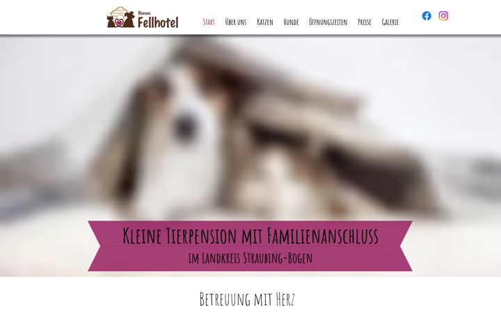Screenshot του bienes-fellhotel.de