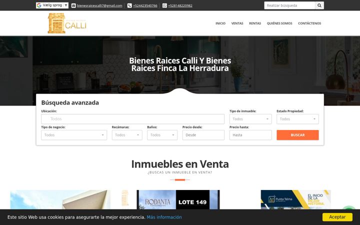 Screenshot of bienesraicescalli.com